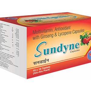 sundyne-capsule